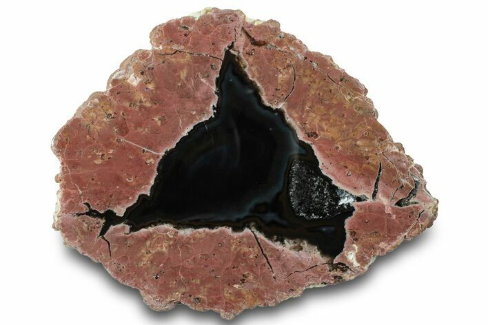 Polished, Black Rock Desert Thunderegg (Half) - Nevada #315356